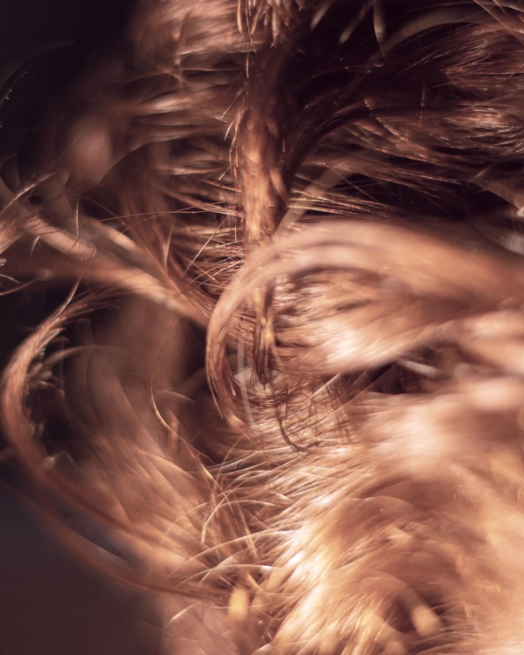Copper-lit hair caught mid-movement against a dark plum background