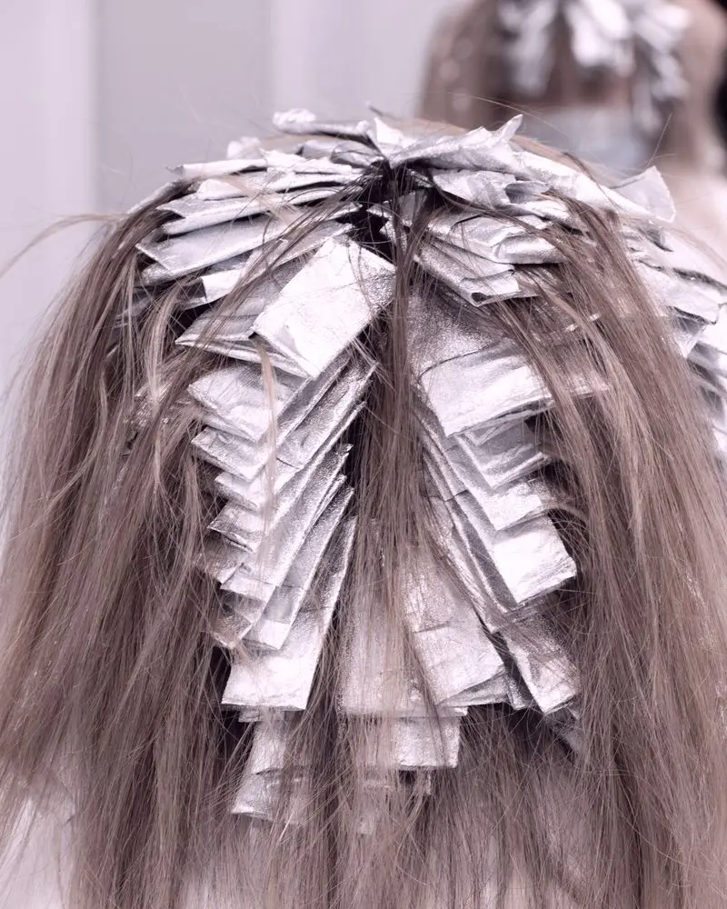 A full head sectioned into foils, seen from above