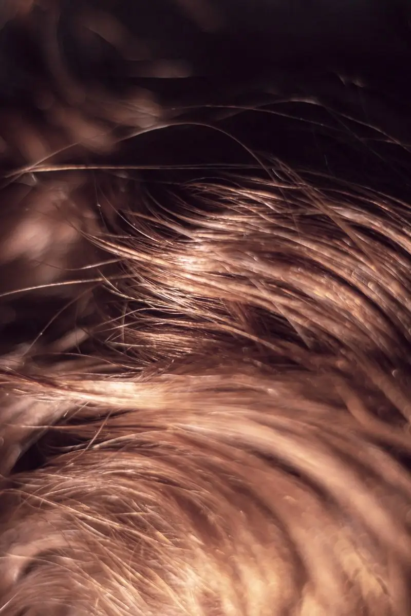 Backlit copper hair, ends catching the light