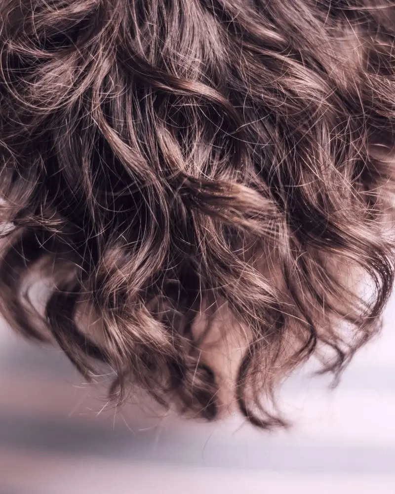 Curly hair at the back of the head, lighter through the mid-lengths